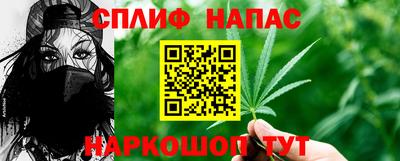 дмт Гудермес