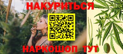 дмт Гудермес