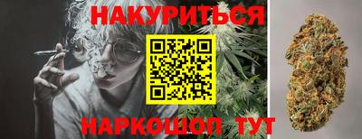 дмт Гудермес